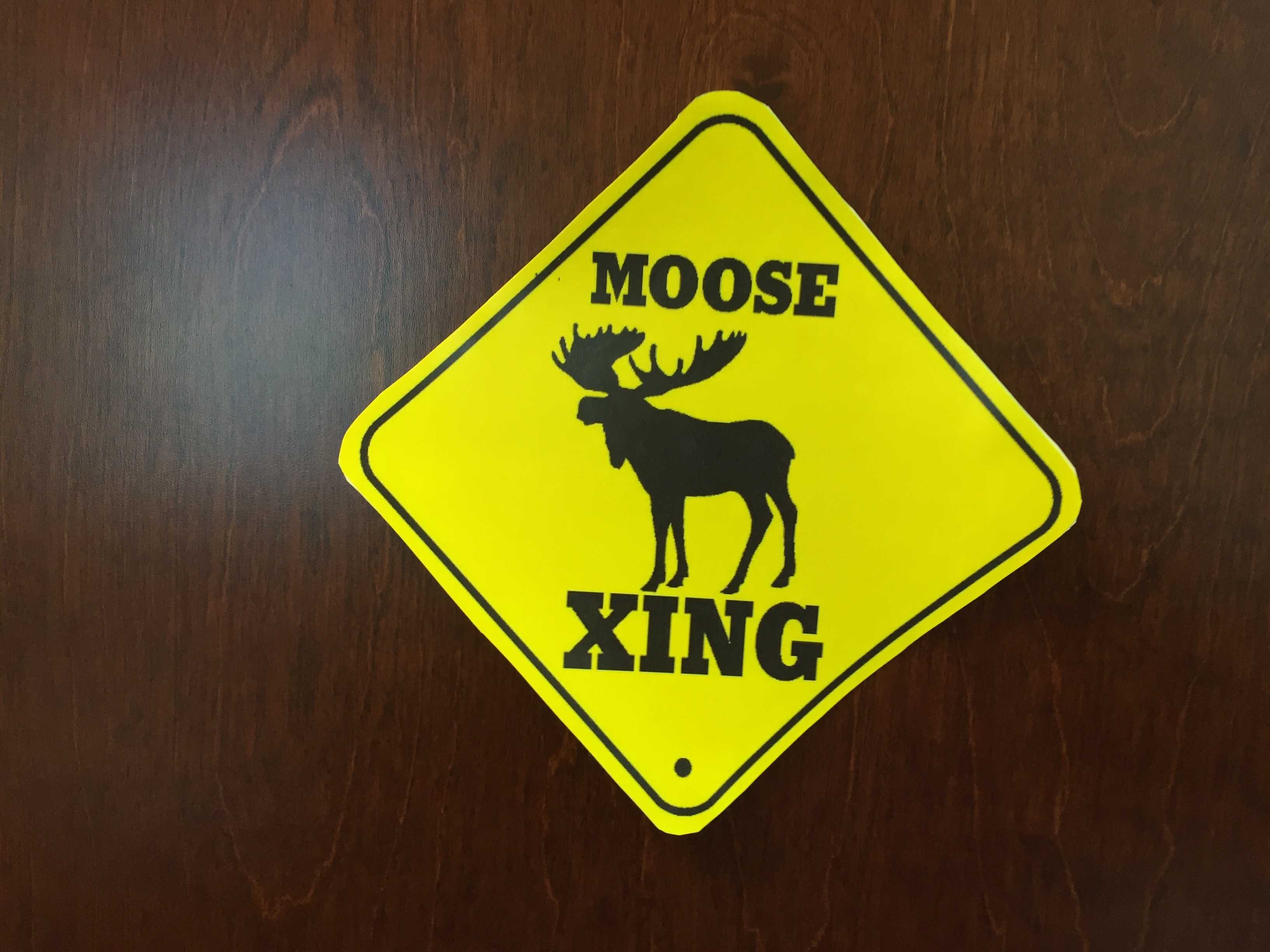 Moose CrossingJPG