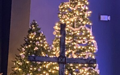 Christmas Trees and the Cross
